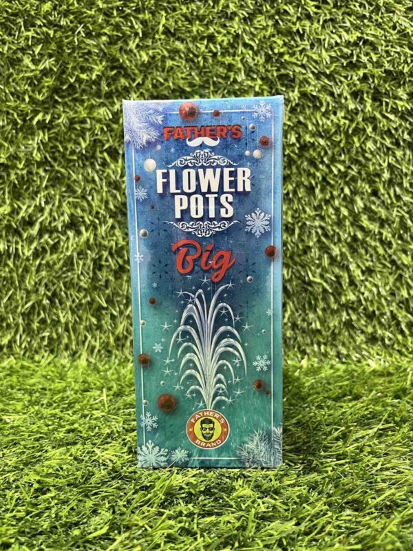 FLOWER POT BIG